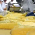 PIRT: Pengertian, Manfaat, Syarat, dan Cara Mengurusnya untuk UMKM